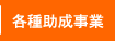�e�폕������