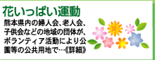�u�Ԃ����ς��^���v�F�{�����̕w�l��A�V�l��A�q�ǂ���Ȃǂ̒n��̒c�̂��{�����e�B�A�����ɂ��������̌����p�n�ŁB�B�B�s�ڍׁt